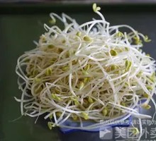 Bean sprouts