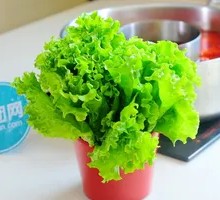 Lettuce leaf