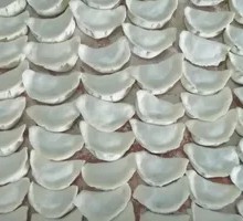 Pork and Celery Dumplings