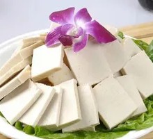 Anjing Chiba Tofu