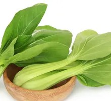 Chinese cabbage