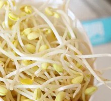 Mung Bean Sprouts
