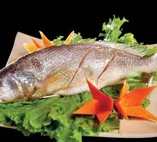 Ecological Yellow Croaker