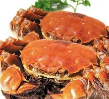 Male Freshwater Crab