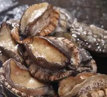 Dalian Abalone