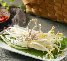 Bean sprouts