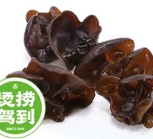 Northeast Black Wood Ear
