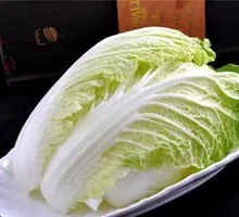洋白菜