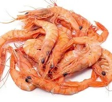 Frozen Arctic Shrimp