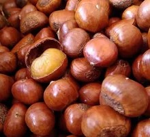 Candied Chestnuts