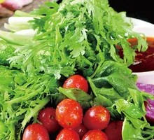 Abundant Harvest