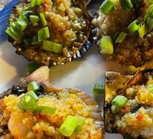 Scallop