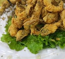 Salt-and-pepper Dragon Fish