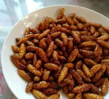 High-Protein Silkworm Pupa