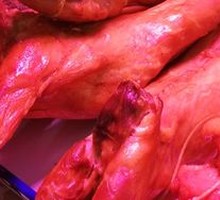 Sauced Rabbit