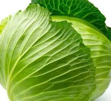 Cabbage
