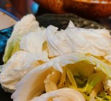 Napa cabbage
