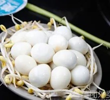 Quail Egg