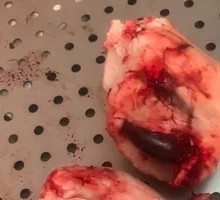 Lamb Kidneys