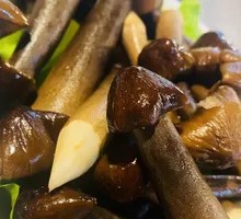 Black Chicken Mushroom