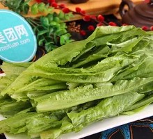 Oilseed lettuce