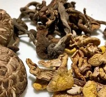 Hickory Mushroom