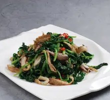 烧全菌