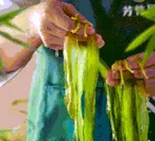 7-Second Kelp Sprouts