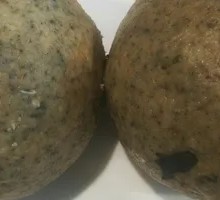 Wild Vegetable Dumplings
