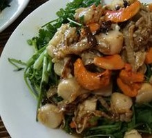 Chilled Mixed Shellfish Salad