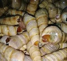 Snail Stir-Fry