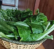 Vegetable Platter