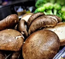 Fresh Shiitake Mushroom