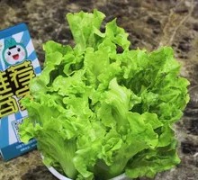Romaine Lettuce