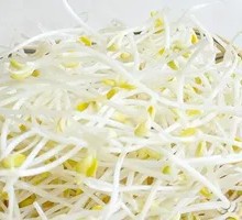 Bean sprouts