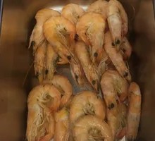 Large Shrimp