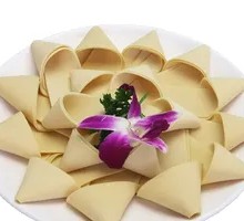 Tofu Skin