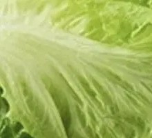 Vitamin C Vegetable Salad