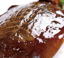 Hand-Torn Softshell Turtle