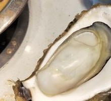 Oyster Buffet