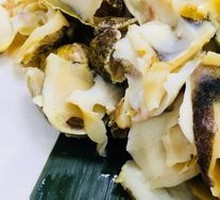 Snail Slices