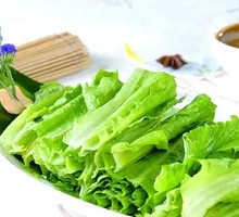 Oilseed lettuce