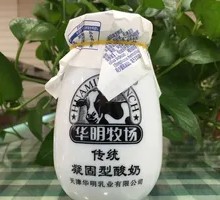 Traditional Original Yogurt