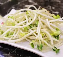 Bean sprouts