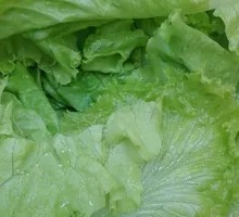 Lettuce