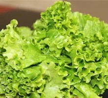 Lettuce