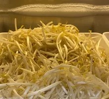 Bean sprouts
