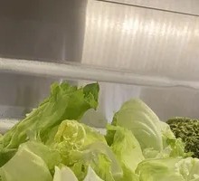 Romaine lettuce