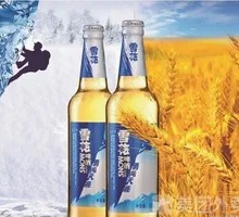 Snowflake Brave Journey