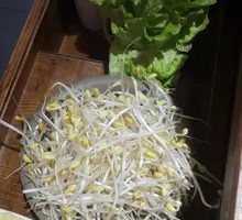 Bean sprouts